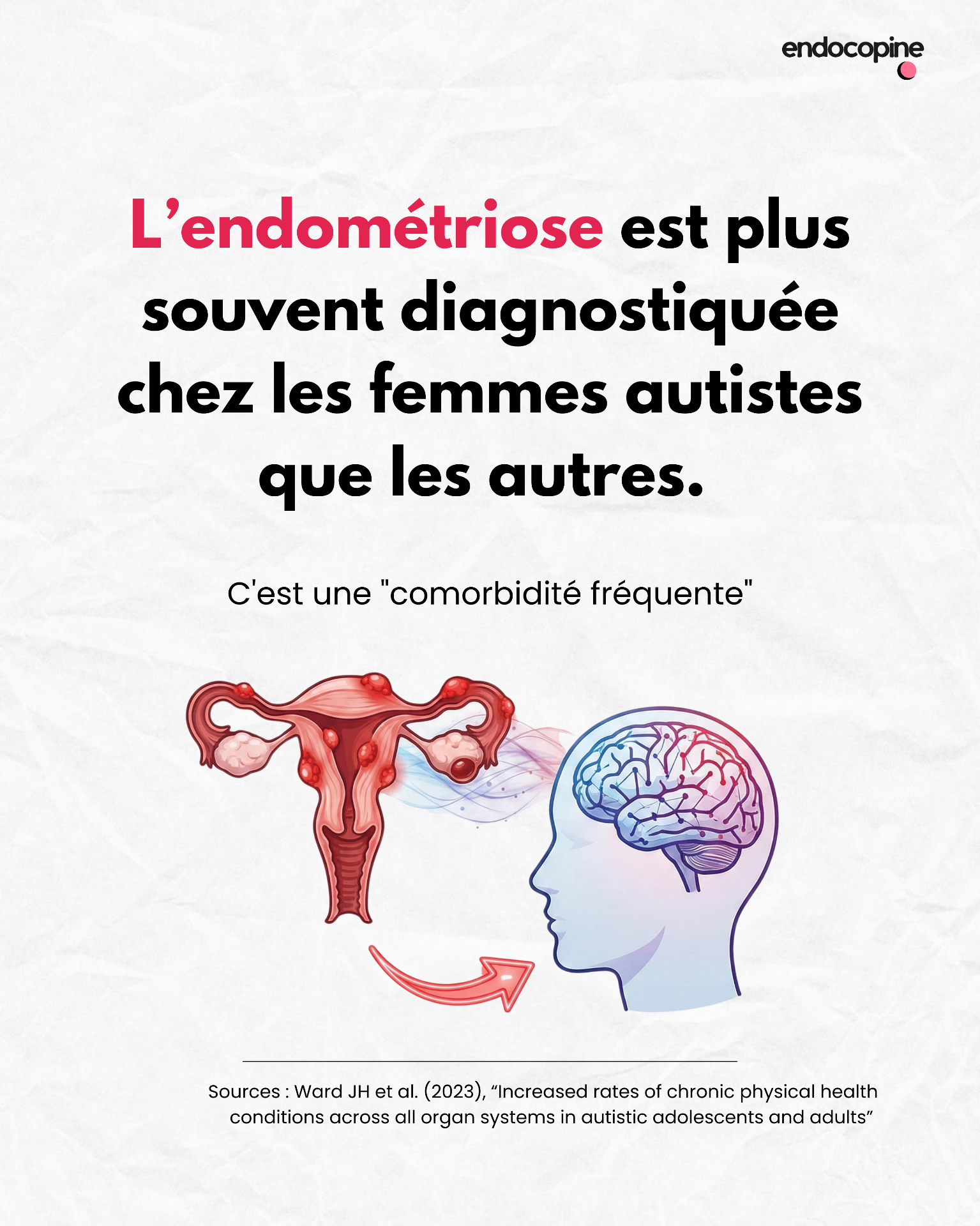 Illustration éditoriale : utérus et cerveau reliés, évoquant les liens explorés entre endométriose et santé neuro-cognitive.